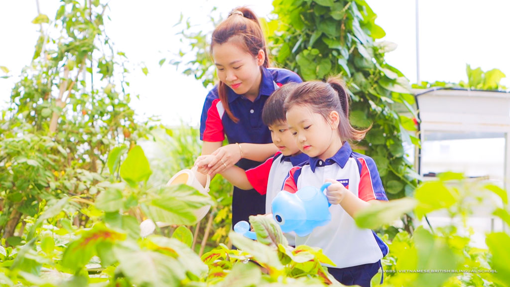 Vườn rau xanh mướt trên cao — nơi các con tự tay chăm sóc và gắn kết cùng thiên nhiên