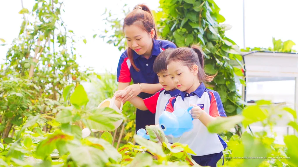 Vườn rau xanh mướt trên cao — nơi các con tự tay chăm sóc và gắn kết cùng thiên nhiên