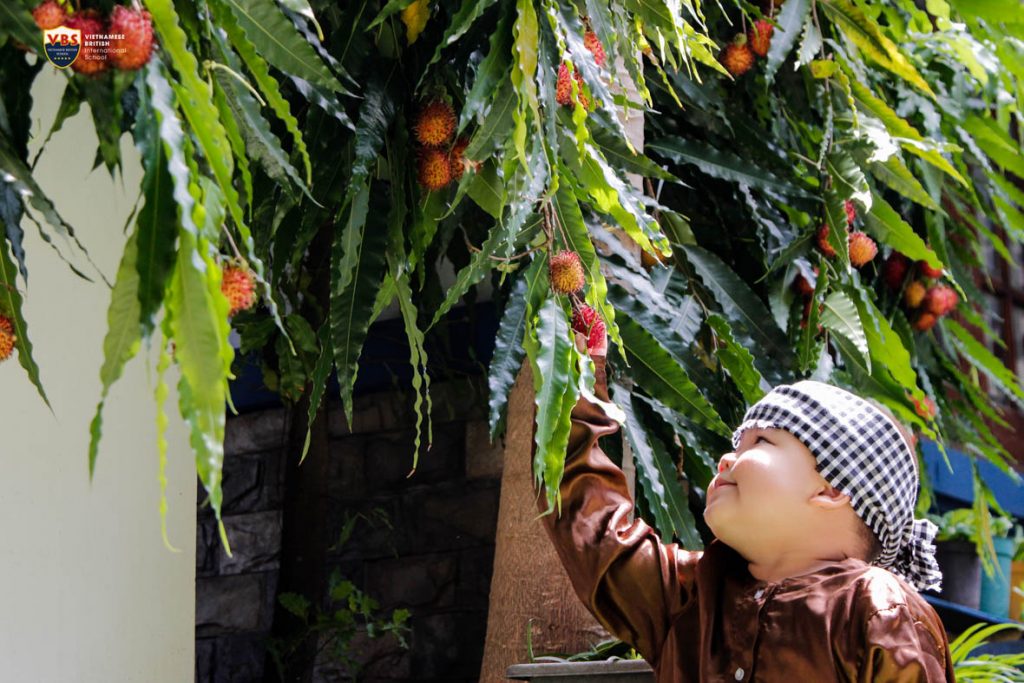 Những nụ cười trạng rỡ khi các con  cùng nhau trải nghiệm hái hoa quả trong sân vườn nhà VBS